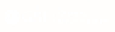 Global Services Expert